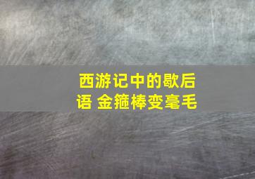 西游记中的歇后语 金箍棒变毫毛